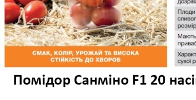 25185 Помідор Санміно F1 