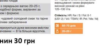 25185 Помідор Санміно F1 