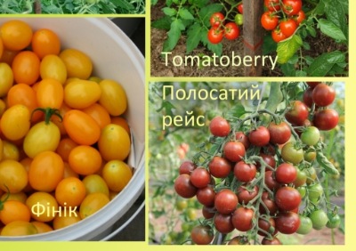 1065 Набір «Чері №1»
