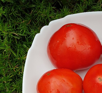 25480 Dwarf Buddy’s Heart (Гном Серце Бадді)