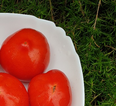 25480 Dwarf Buddy’s Heart (Гном Серце Бадді)