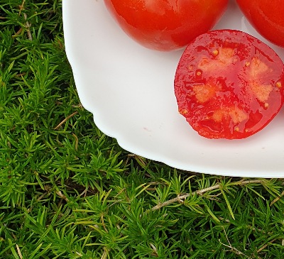 25480 Dwarf Buddy’s Heart (Гном Серце Бадді)