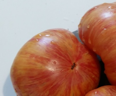 1069 Beauty Queen (Королева краси)