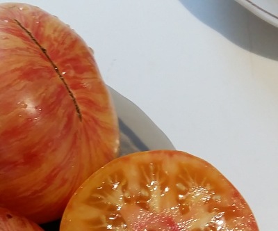 1069 Beauty Queen (Королева краси)