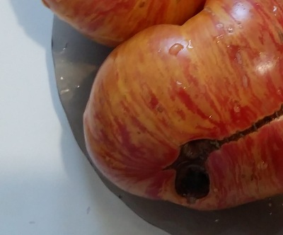 1069 Beauty Queen (Королева краси)