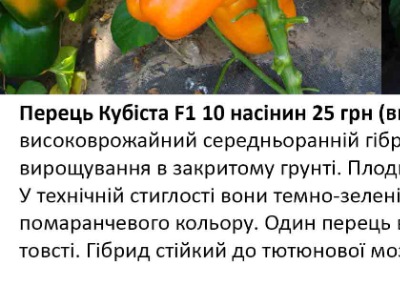 25205 Перець солодкий Кубіста F1 