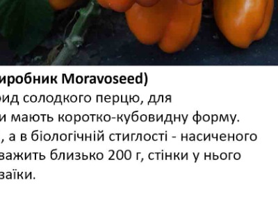 25205 Перець солодкий Кубіста F1 