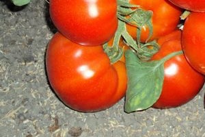 1098 Пелагея