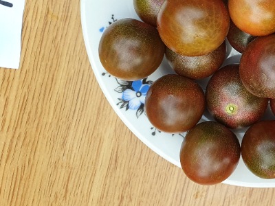1267 Пляжний чері