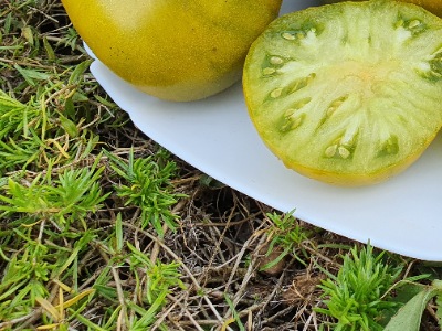 1333 Green Pineapple (Зелений Ананас)