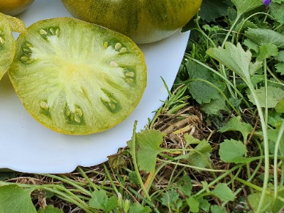 1333 Green Pineapple (Зелений Ананас)