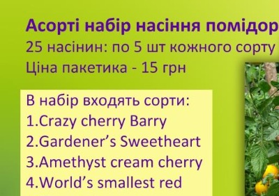 1257 Набір «Чері №3»