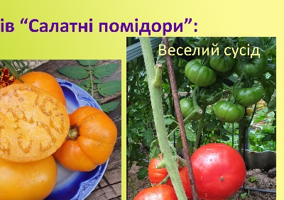 1055 Набір «Салатні»
