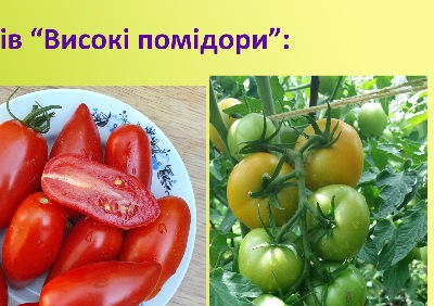 1053 Набір  «Високі»