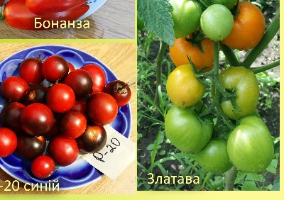 1053 Набір  «Високі»