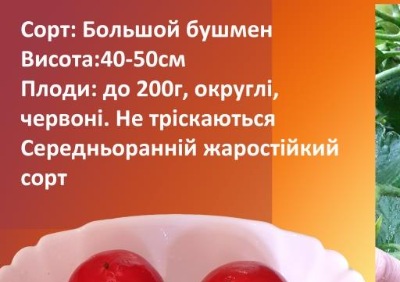1222 Большой Бушмен