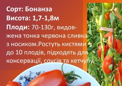 1210 Бонанза