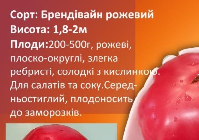 1224 Brandywine  Pink (Брендівайн рожевий )