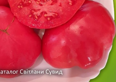 1224 Brandywine  Pink (Брендівайн рожевий )